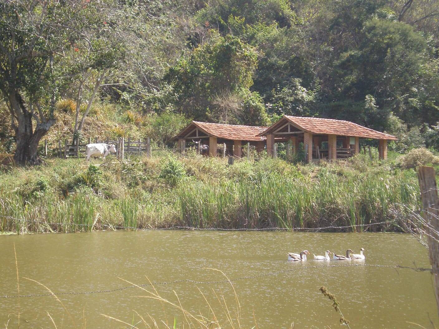 Sítio à venda com 3 quartos - Foto 6