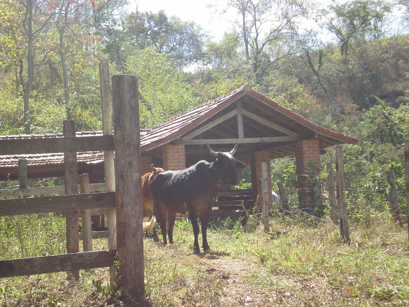 Sítio à venda com 3 quartos - Foto 9