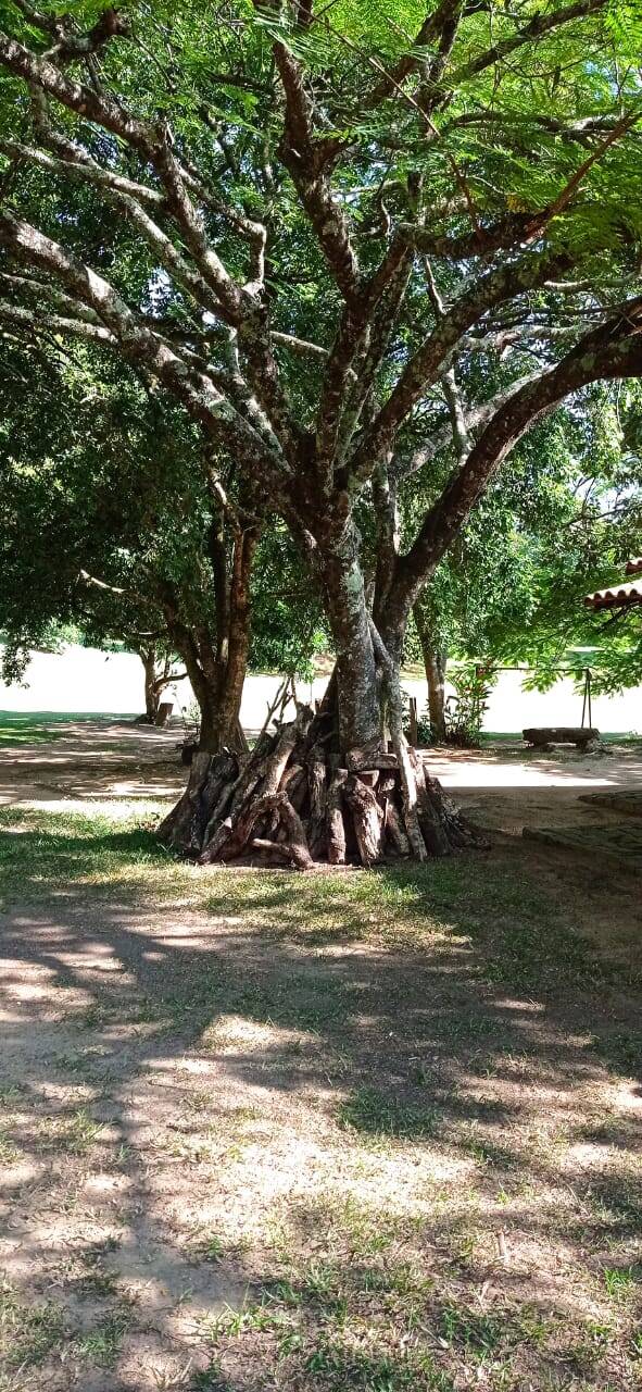Sítio à venda com 3 quartos - Foto 10