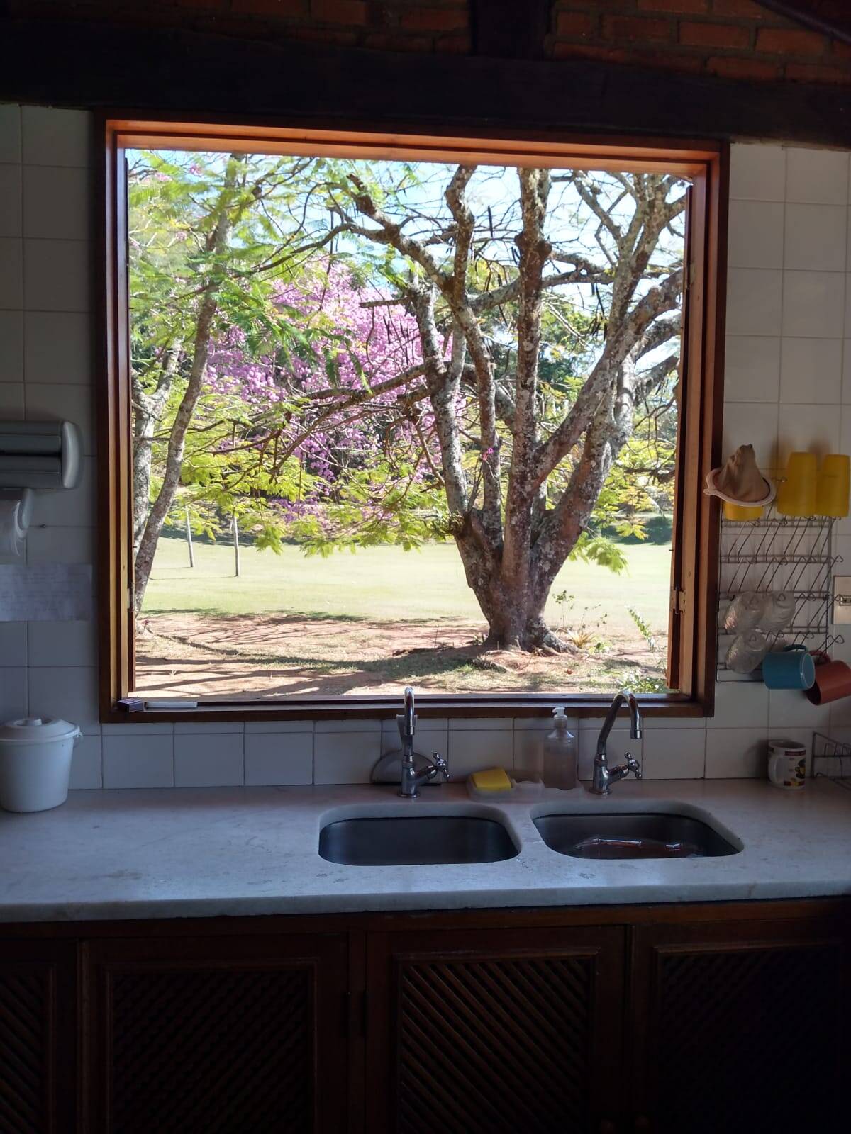 Sítio à venda com 3 quartos - Foto 8