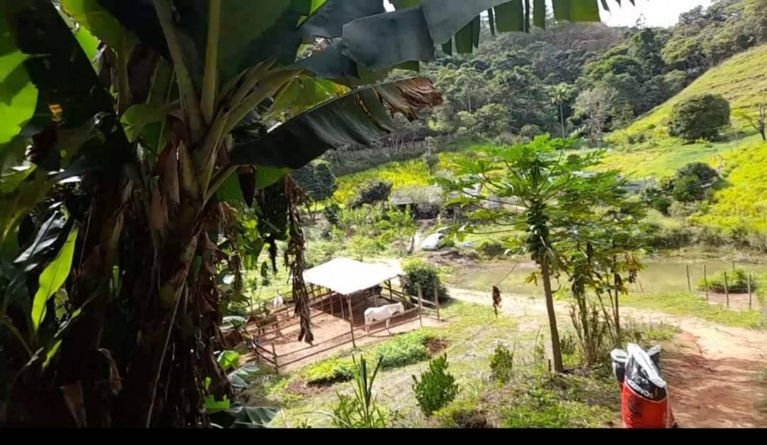 Sítio à venda com 2 quartos, 116000m² - Foto 1