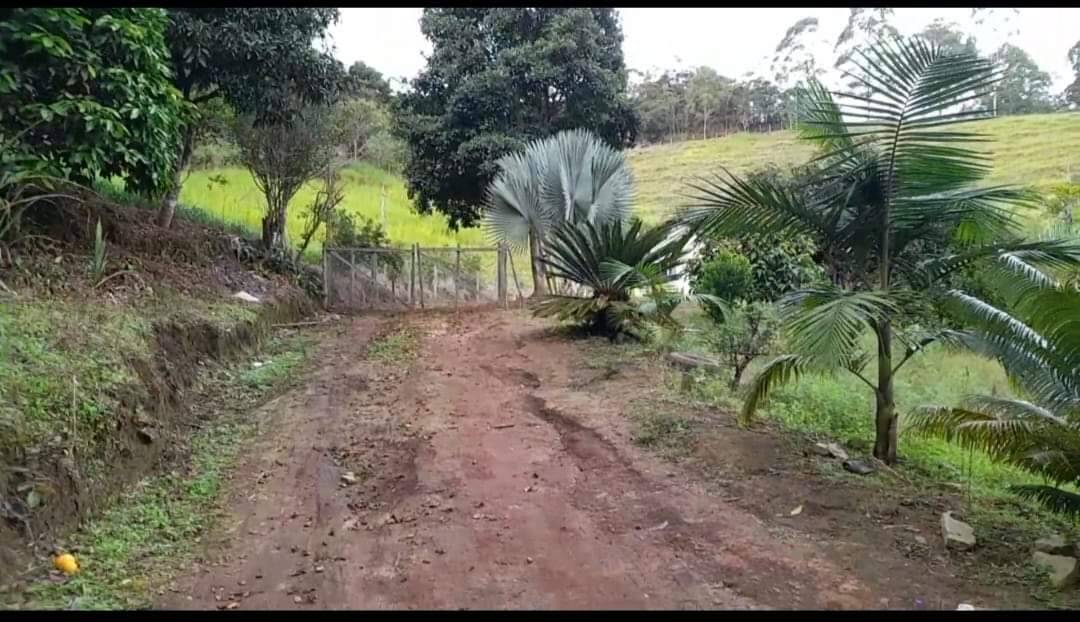 Sítio à venda com 2 quartos, 116000m² - Foto 3