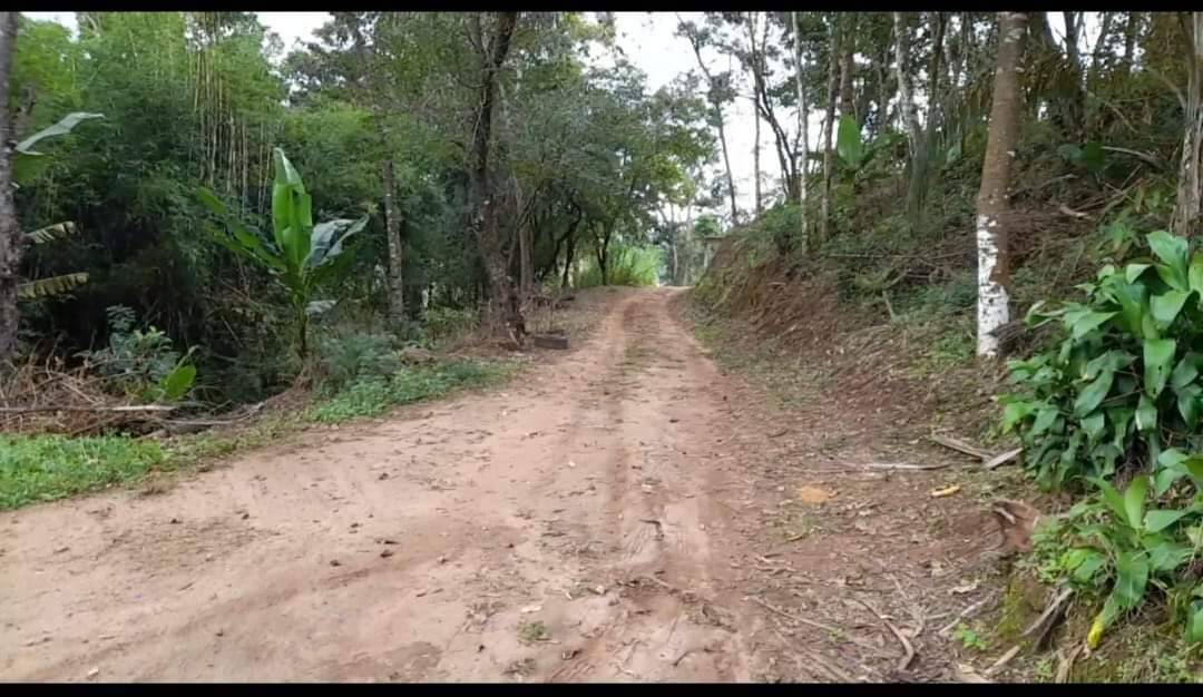 Sítio à venda com 2 quartos, 116000m² - Foto 4